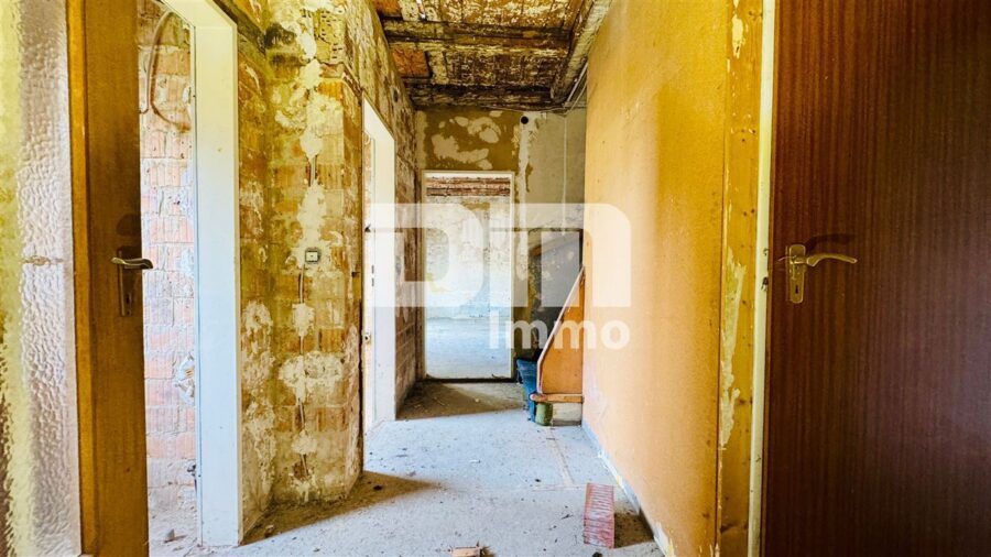 Handwerkertraum mit XL-Grundstück: Doppelhaushälfte mit Nebengebäude zur Sanierung - EG Flur / Diele